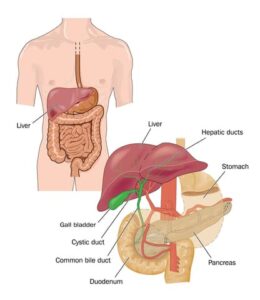 how heal leaky gut
