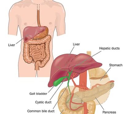 How To Heal Leaky Gut