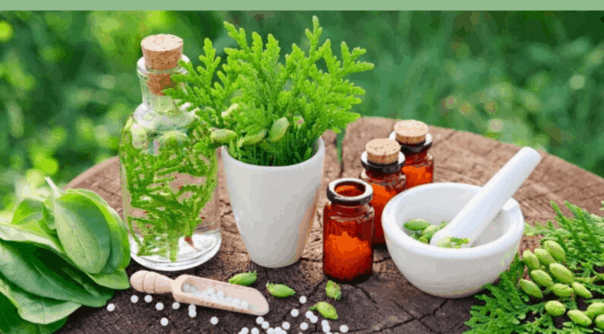 “How To End The Year On A Healthy High”